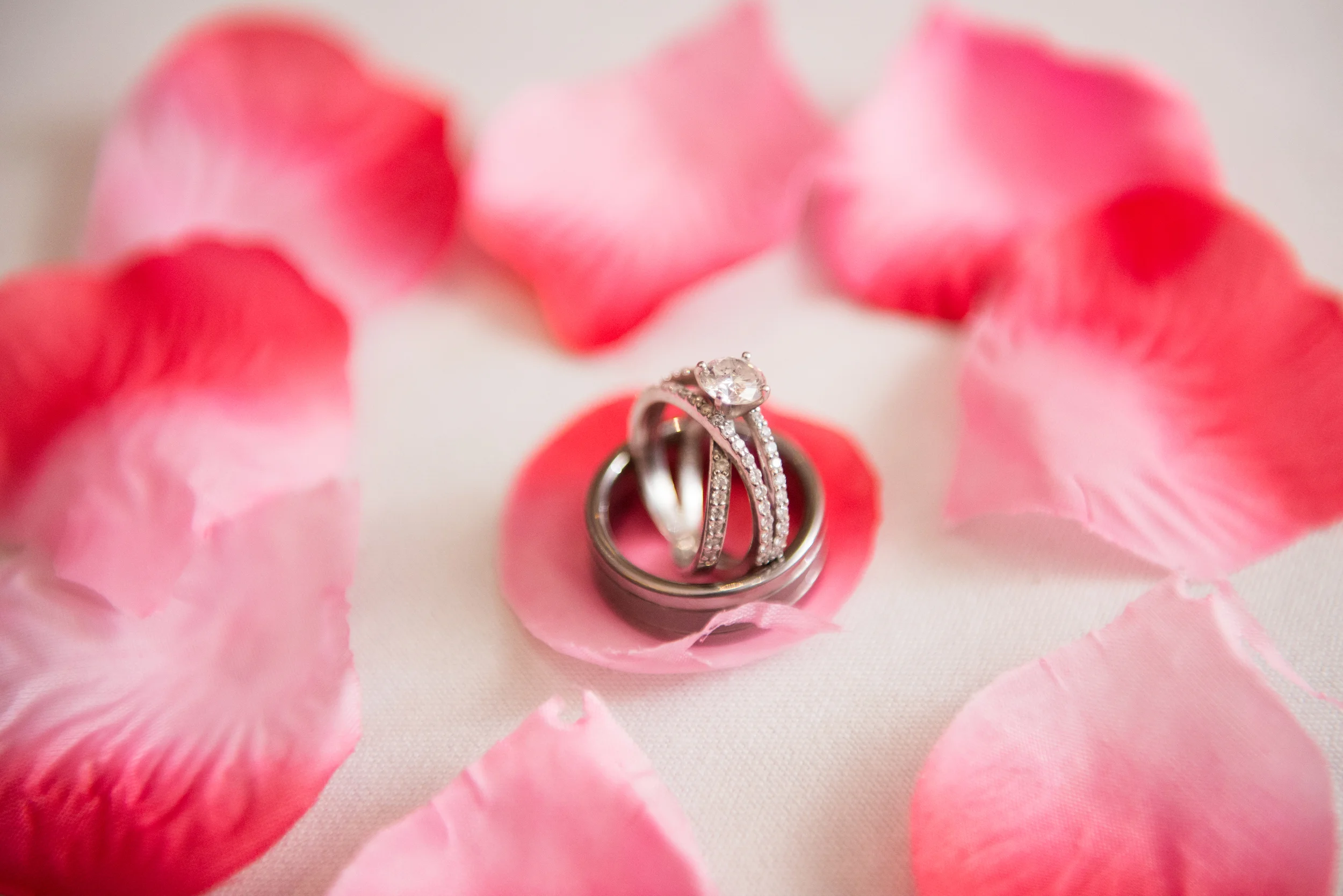    Click here to see nearly 200 images from Jeff and Shaila's day!   