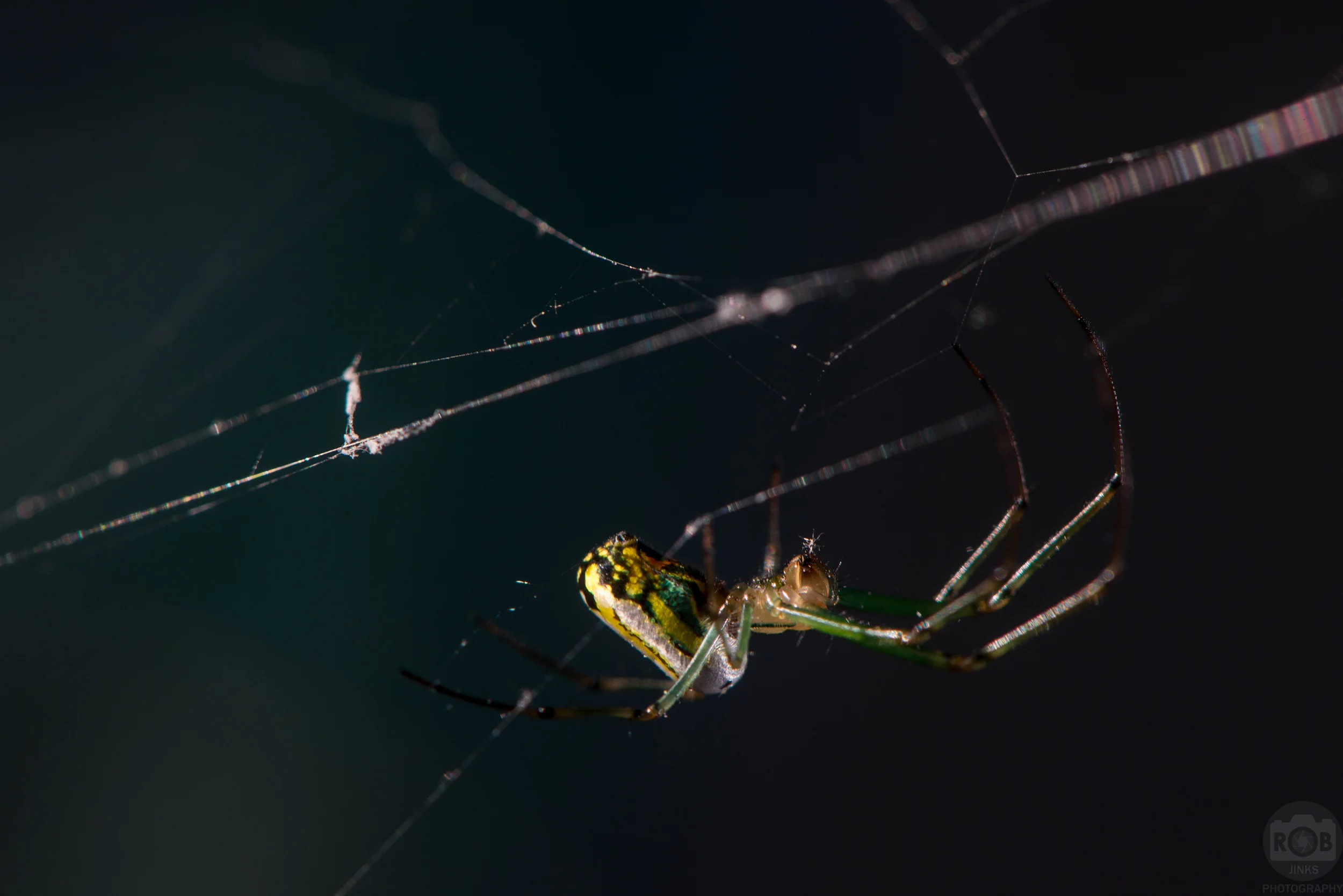  1/200th, F/13, ISO 400, flash fired from the lower right at 1/128th power. 