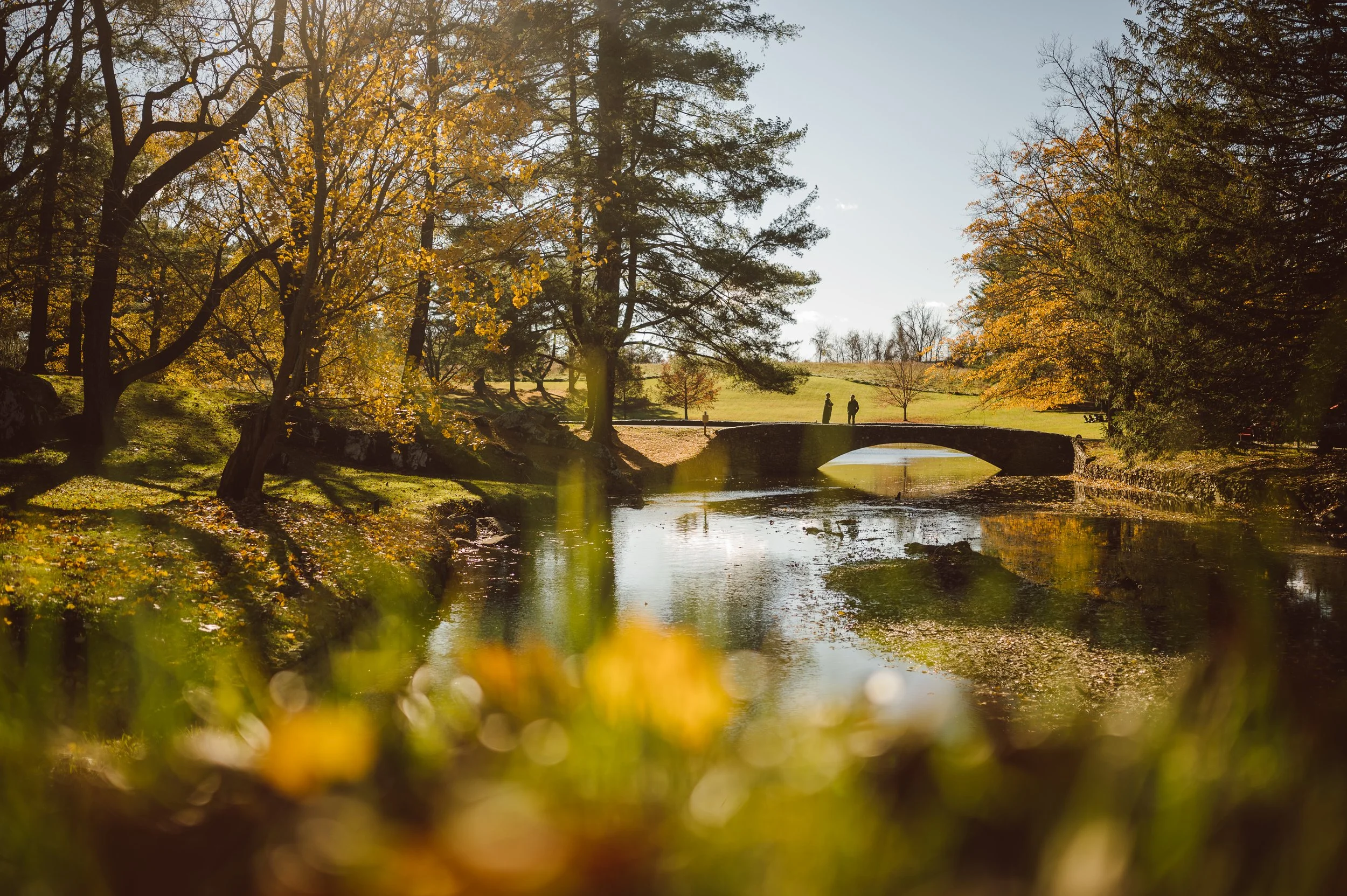  wedding at Airlie Warrenton Virginia 